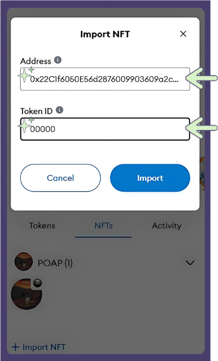 9 Import NFT Input.png